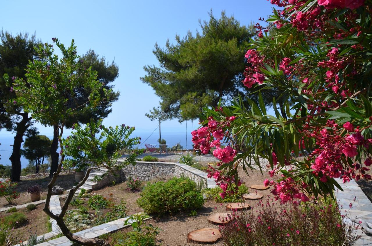 Villa Flora Views Exciting Imagination, 2 Apartments *